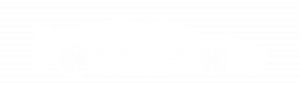 #81
